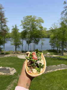 Gyro with lake view